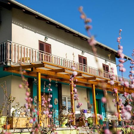 Farm Stay Synergia - Hiden Treasure Pazin Kültér fotó